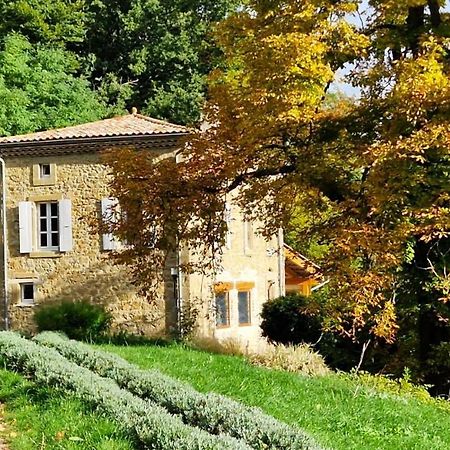 Gite Du Grand Delmas Bourdeaux Eksteriør billede